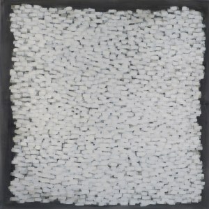 White Elements, 2011, acrylic on canvas, 60 x 60 inches